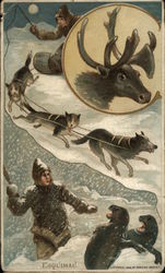 Man on Sled Pulled by Dogs, Fighting Seals Man on Sled Pulled by Dogs, Fighting Seals