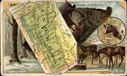 Map of Vermont Trade Card