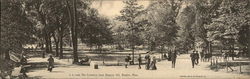 The Common from Beacon Hill Postcard