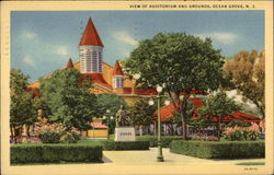 View of Auditorium and Grounds Postcard