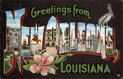 Greetings from New Orleans, America's most interesting city Postcard