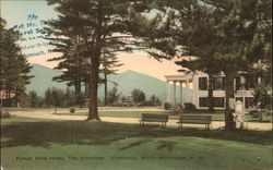 Forest Hills Hotel - Entrance Postcard