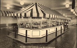 The Beech-Nut Circus on the Boardwalk Postcard