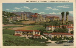 Bird's Eye View of University of California and Westwood Hills Postcard