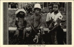 "Dixie's Most Prolific Crop" Postcard