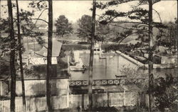 View of Public Pool from the Trees Postcard