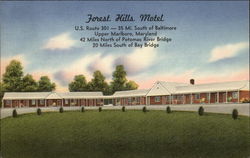 Forest Hills Motel Postcard