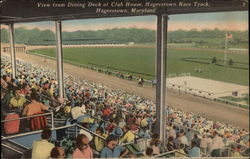View from Dining Deck of Club House of Race Track Postcard