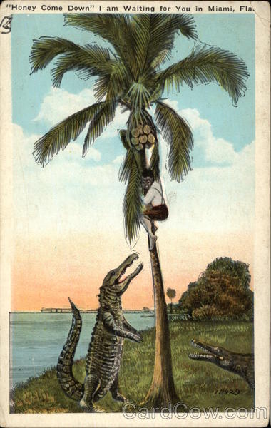 Honey Come Down I am Waiting for You Miami Florida