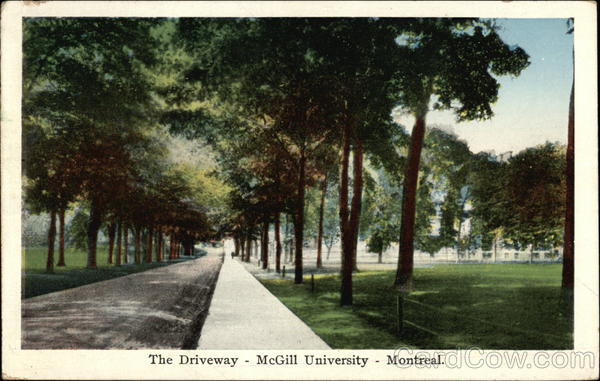 The Driveway - McGill University Montreal QC Canada