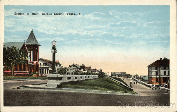 Section of Bluff Corpus Christi Texas