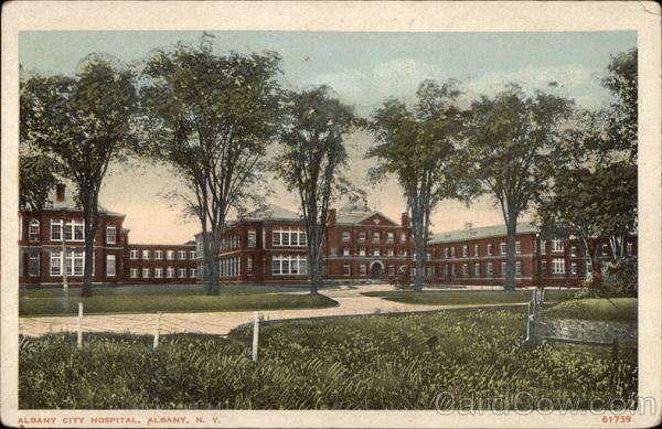 Albany City Hospital New York
