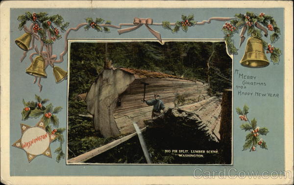 Big Fir Split, Lumber Scene Washington