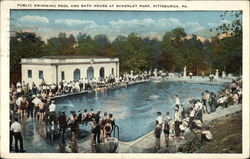 Schenley Park - Public Swimming Pool and Bath House Postcard