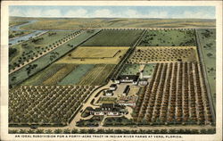 An ideal subdivision for a forty-acre tract in Indian River Farms An ideal subdivision for a forty-acre tract in Indian River Farms