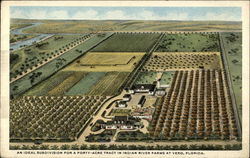 An ideal subdivision for a forty-acre tract in Indian River Farms Postcard