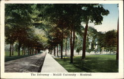 The Driveway - McGill University Montreal, QC Canada Quebec Postcard Postcard