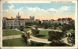 Campus, University of Chicago Illinois Postcard Postcard