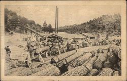 SAw Mill - Logging Camp Postcard