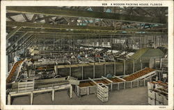 Modern Packing House Postcard