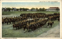 Stock #377030 Thumbnail