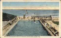 One of the Swimming Pools at the Beach Miami Beach, FL Postcard Postcard