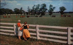 Blue Grass Farm Blue Grass Farm