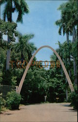 Tropicana Night Club - Entrance Postcard