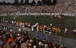 Football at Purdue Postcard