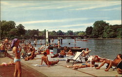 Stock #377503 Thumbnail