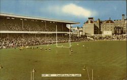 Cardiff Arms Park Postcard