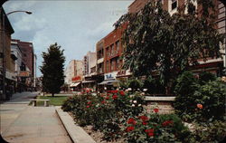 Flowers Adorn the Grounds of the Famed Burdick Street Mall Kalamazoo, MI Postcard Postcard