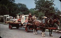 Strickland's Mountain Inn Postcard