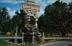 Entrance to FLorida's famous Silver Springs Postcard Postcard