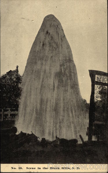 Scene in the Balck Hills Black Hills South Dakota