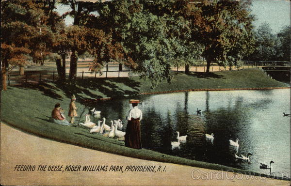 Feeding the Geese - Roger Williams Park Providence Rhode Island