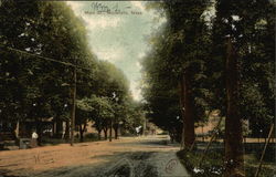 View of Tree Lined Main Street Mansfield, MA Postcard Postcard