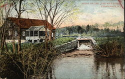 Scene on the Ten Mile River Postcard