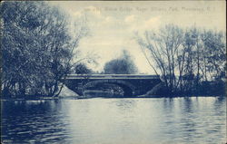 Willow Bridge, Roger WIlliams Park Postcard