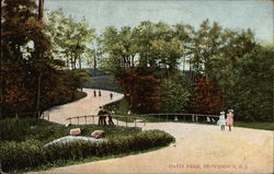 Scenic View of People Walking in Davis Park Postcard