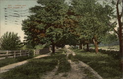 Institute Lane Postcard