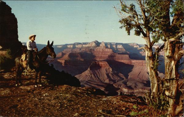 Grand Canyon National Park, Arizona, O'Neill Butte