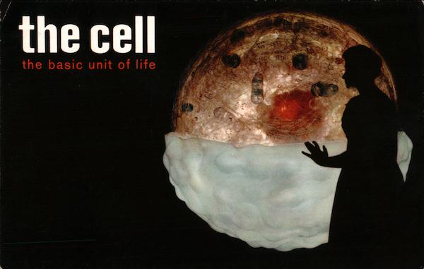 The Cell, the Basic Unit of Life, Disneyland Anaheim California