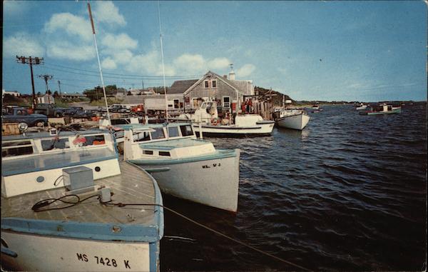 Chatham Fish Pier Massachusetts
