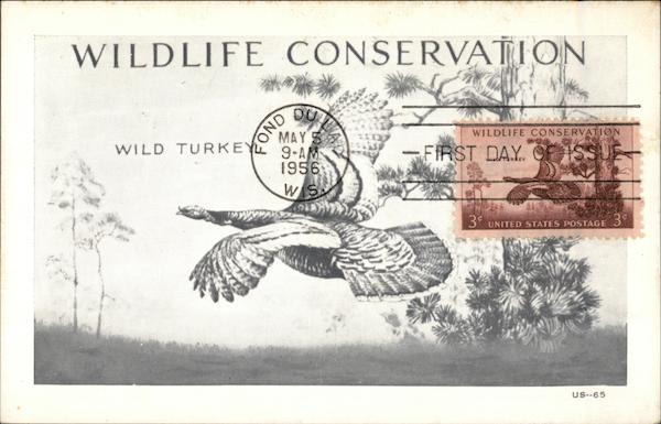 Wildlife Conservation - Wild Turkey Maximum Cards