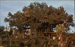 Walt Disney World - Swiss Family Island Treehouse Postcard