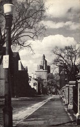 Looking Down George Street Postcard