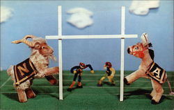 Steiff Zoo Favorites, As Old Rivals Meet, Roger Williams Park Postcard