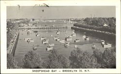 Sheepshead Bay Brooklyn, NY Postcard Postcard