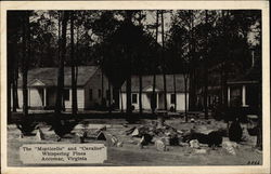 The "Monticello" and Cavalier" at Whispering Pines Postcard